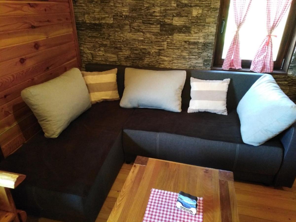 Brvnara Na Bregu Villa Bajina Basta Dış mekan fotoğraf