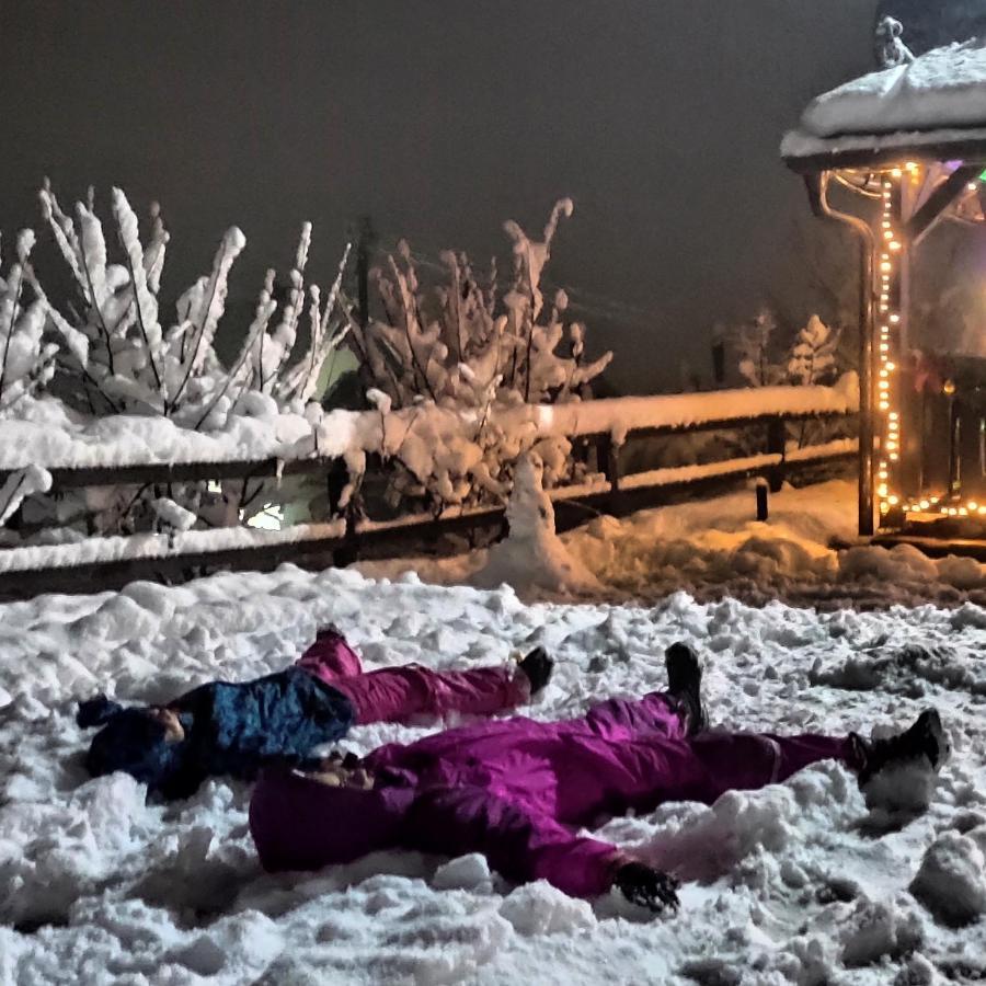 Brvnara Na Bregu Villa Bajina Basta Dış mekan fotoğraf