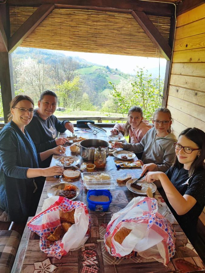 Brvnara Na Bregu Villa Bajina Basta Dış mekan fotoğraf