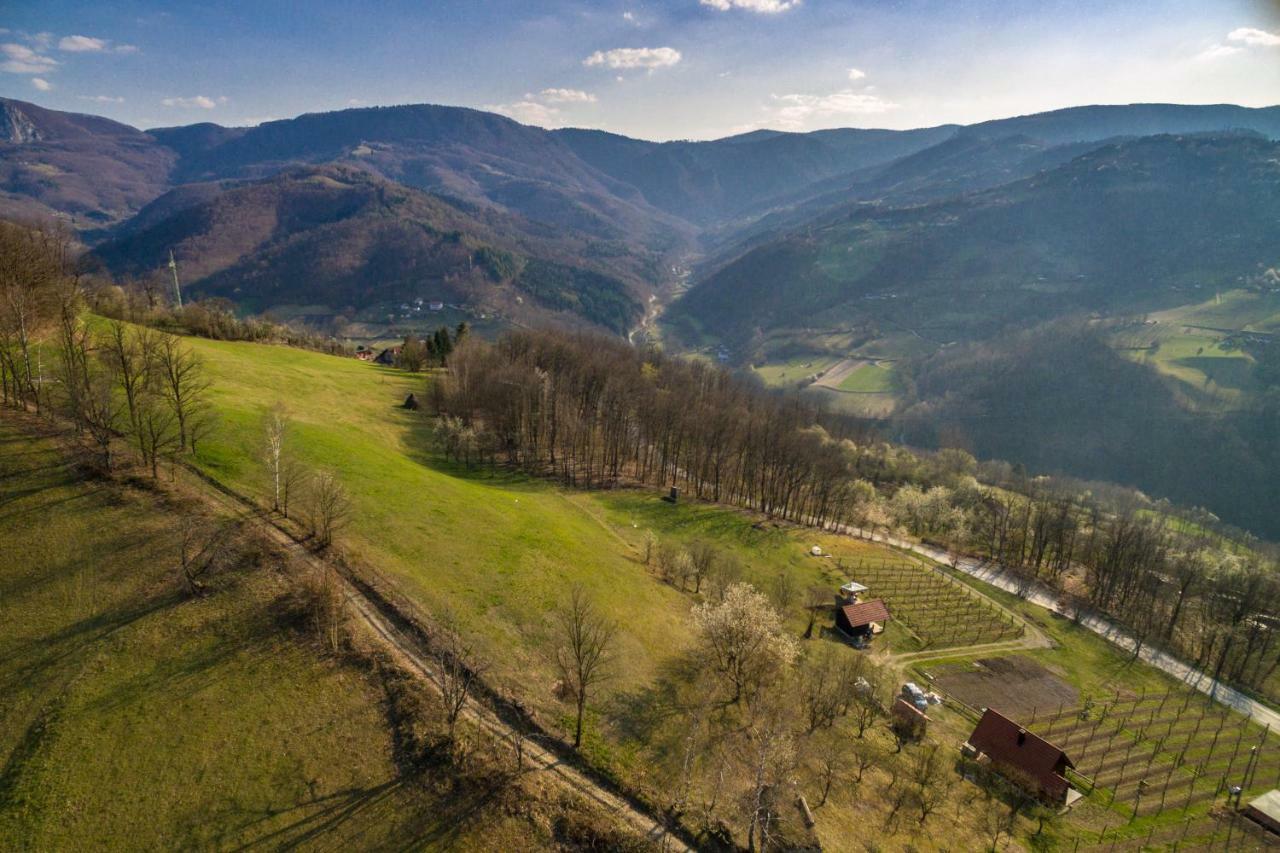 Brvnara Na Bregu Villa Bajina Basta Dış mekan fotoğraf