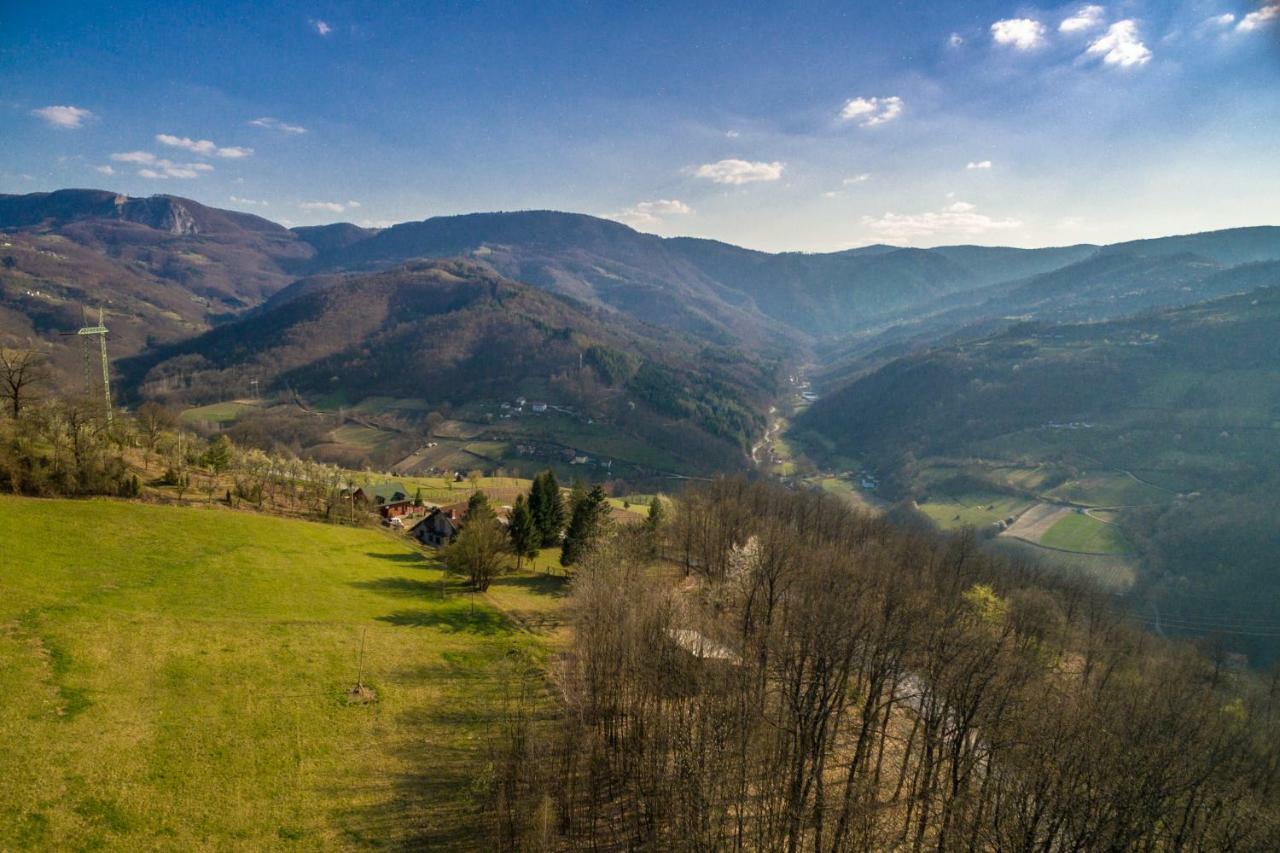 Brvnara Na Bregu Villa Bajina Basta Dış mekan fotoğraf